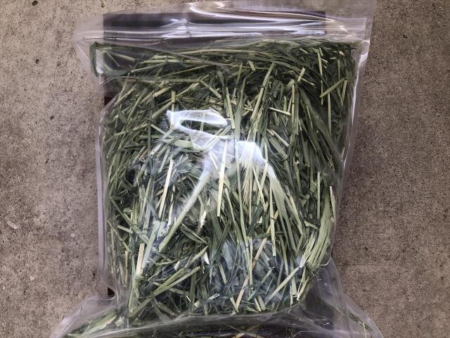 茎多めライムギ