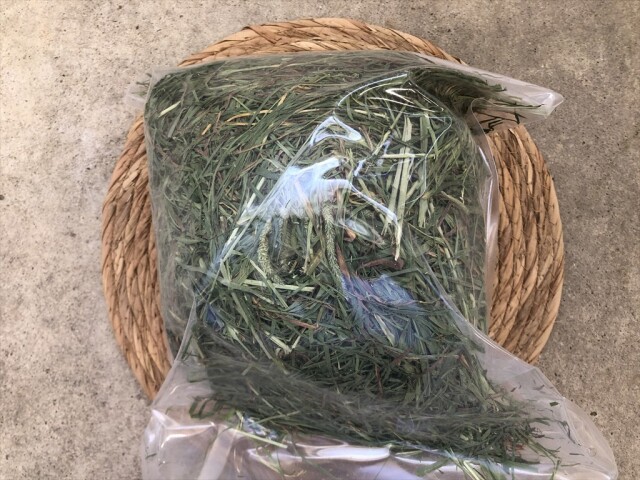 ワイルドチモシー