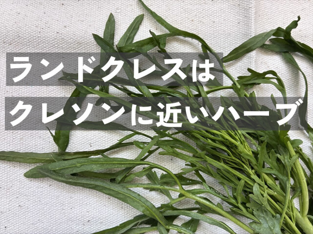 ランドクレス