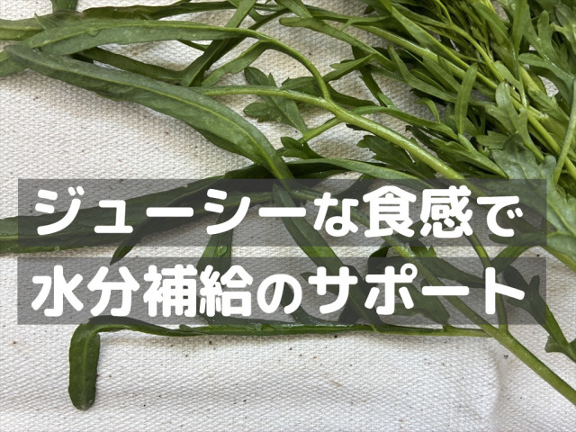 ランドクレス