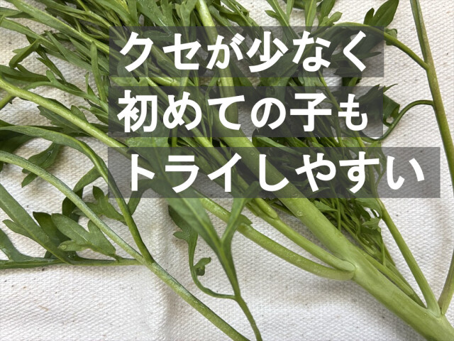 ランドクレス