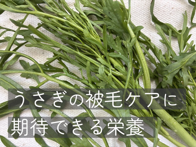 ランドクレス