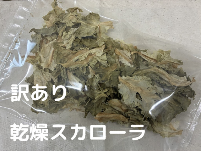 訳あり乾燥野菜