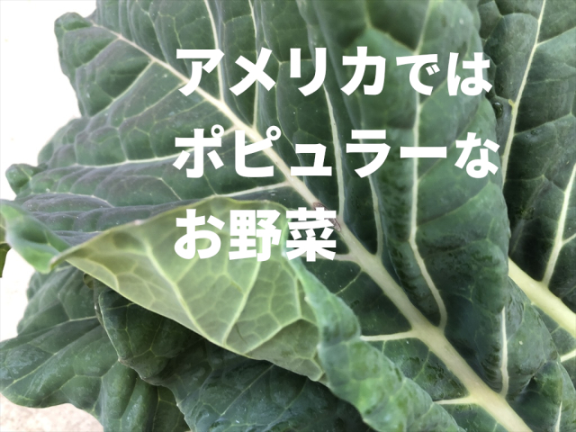 カラードグリーン