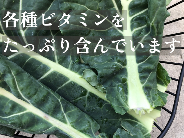 カラードグリーン