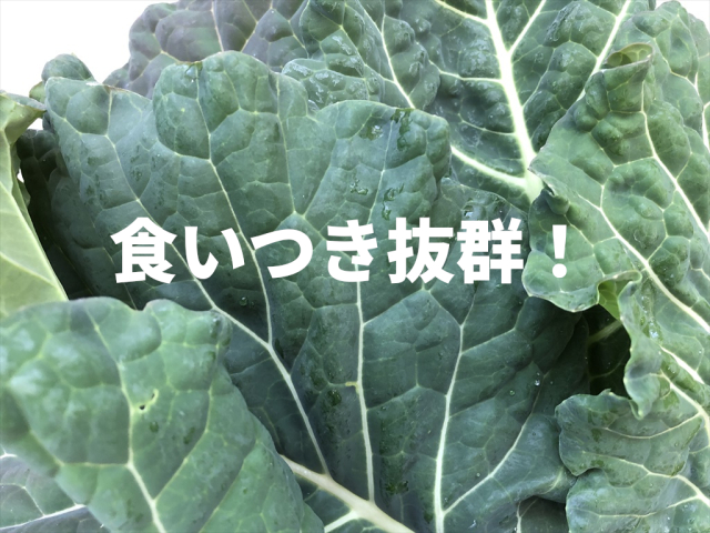 カラードグリーン