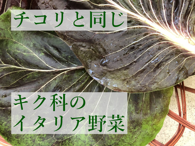 秋冬野菜 プレコーチェ