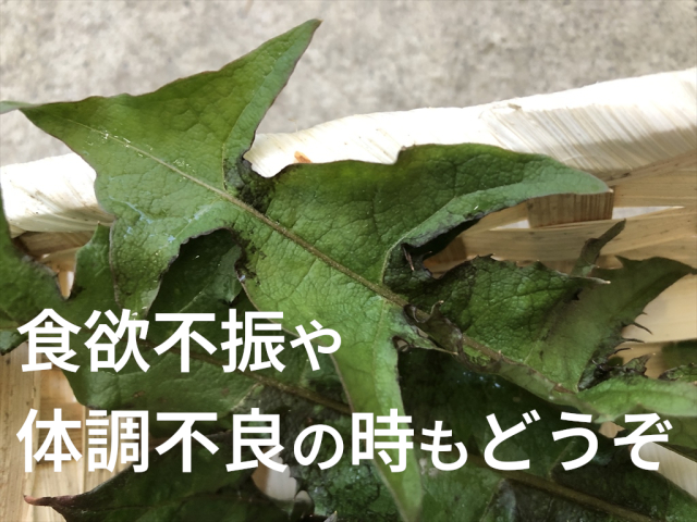 たんぽぽ葉