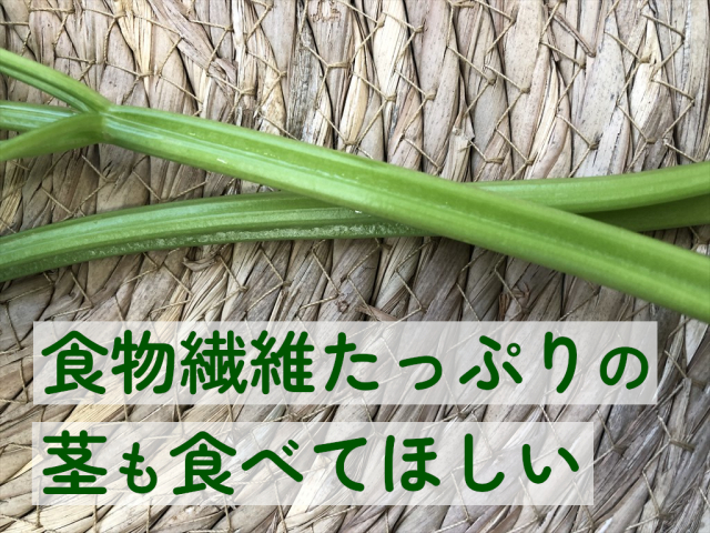 ミニセロリ