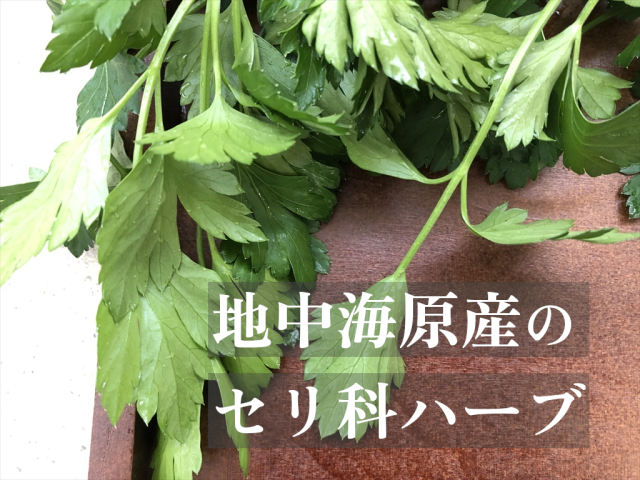 イタリアンパセリ,うさぎ,生ハーブ