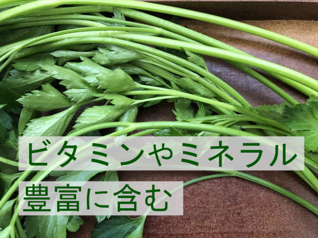 イタリアンパセリ,うさぎ,生ハーブ