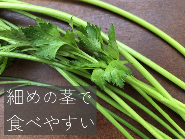 イタリアンパセリ,うさぎ,生ハーブ