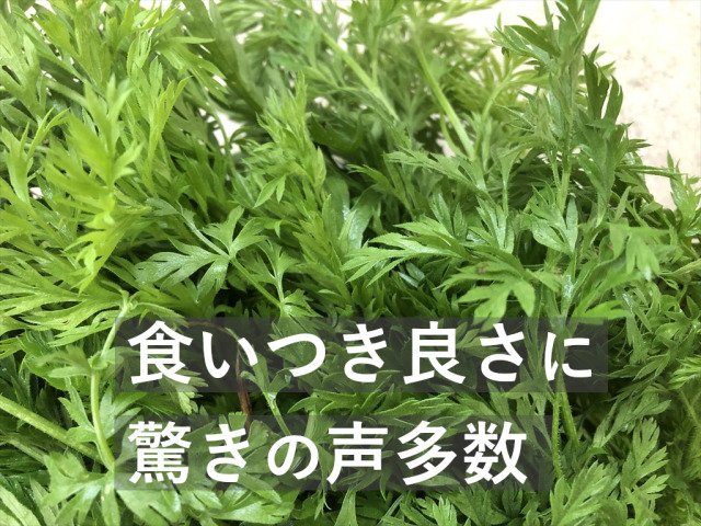 うさぎにんじん葉
