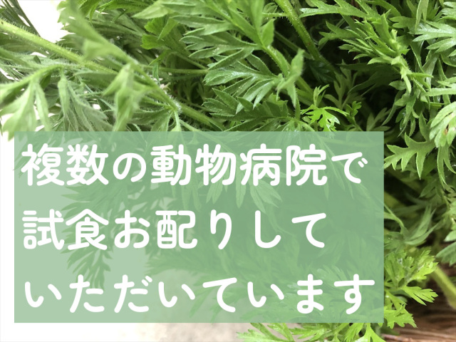 うさぎにんじん葉