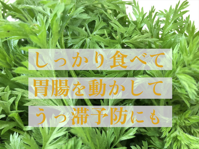 うさぎにんじん葉