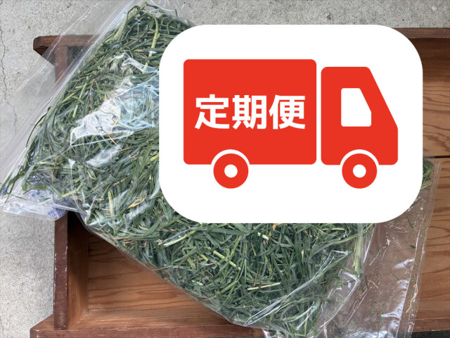 リーフイタリアンライグラス