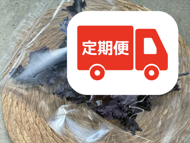 うさぎ用乾燥紫カリーノケールロッソ