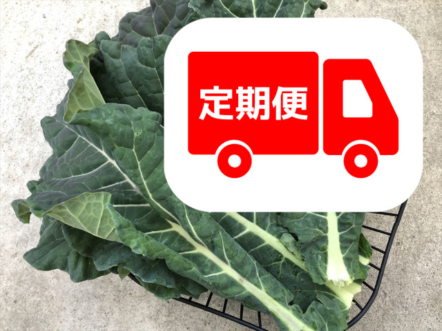 カラードグリーン