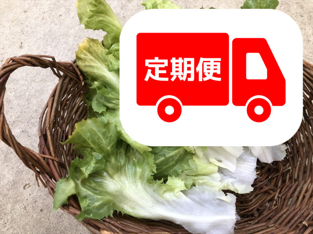 スカローラ うさぎ用 生野菜