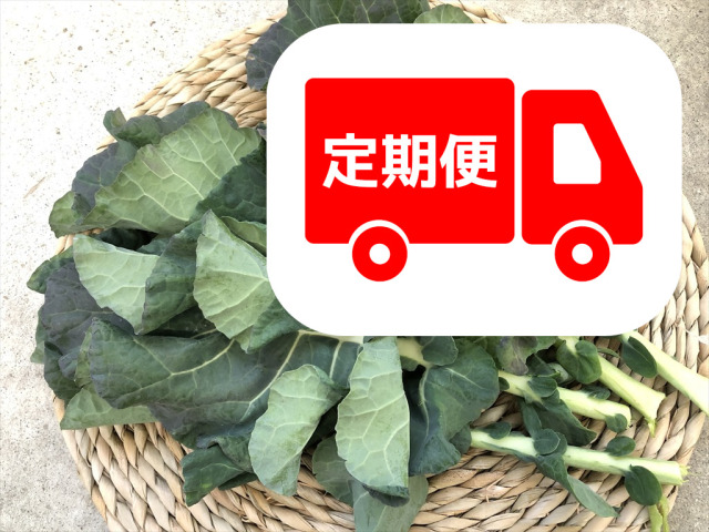 ブロッコリー葉