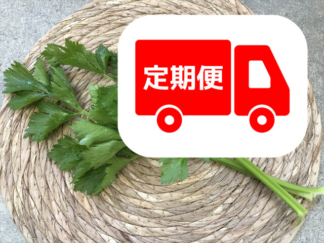 ミニセロリ うさぎ用 野菜