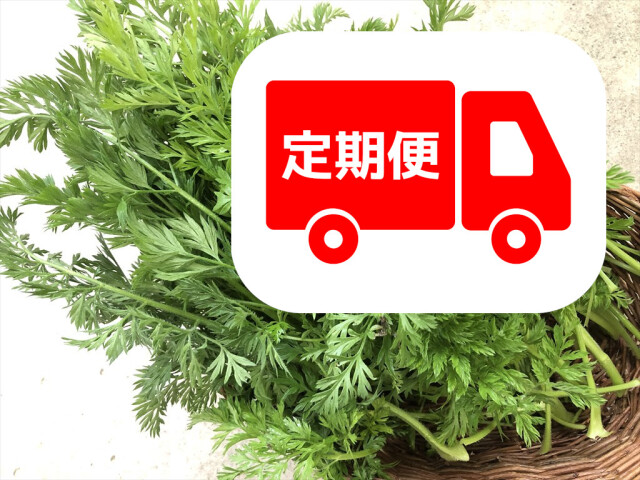 うさぎ用生野菜 にんじん葉