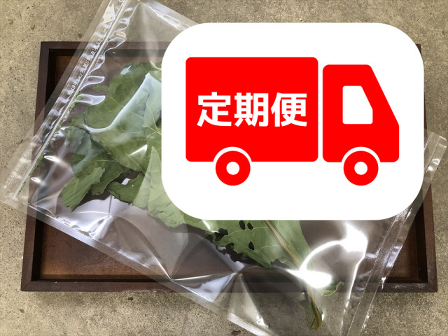 乾燥カラードグリーン