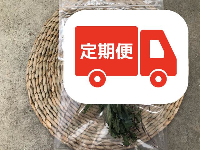 乾燥たんぽぽ葉