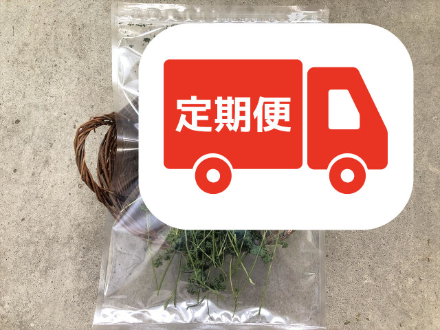 乾燥パラマウントパセリ