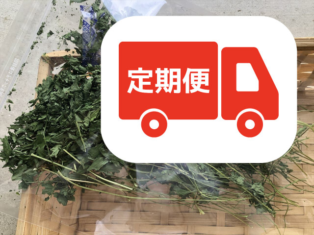 乾燥イタリアンパセリ うさぎ用 おやつ 食いつき抜群