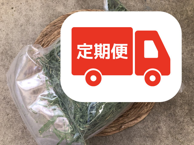 国産大麦若葉200g うさぎ用牧草