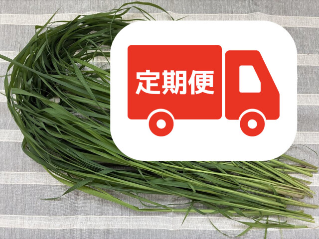 フレッシュ牧草 香りの良いローズグラス