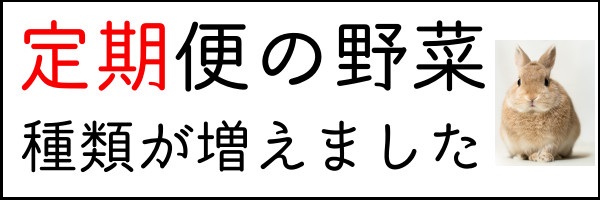 超大特価 人参うさぎちゃんu0026可愛い木箱寄せ植え 希少 大人気 Xdarts Cz