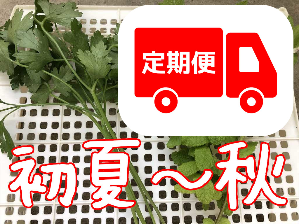 生アソート