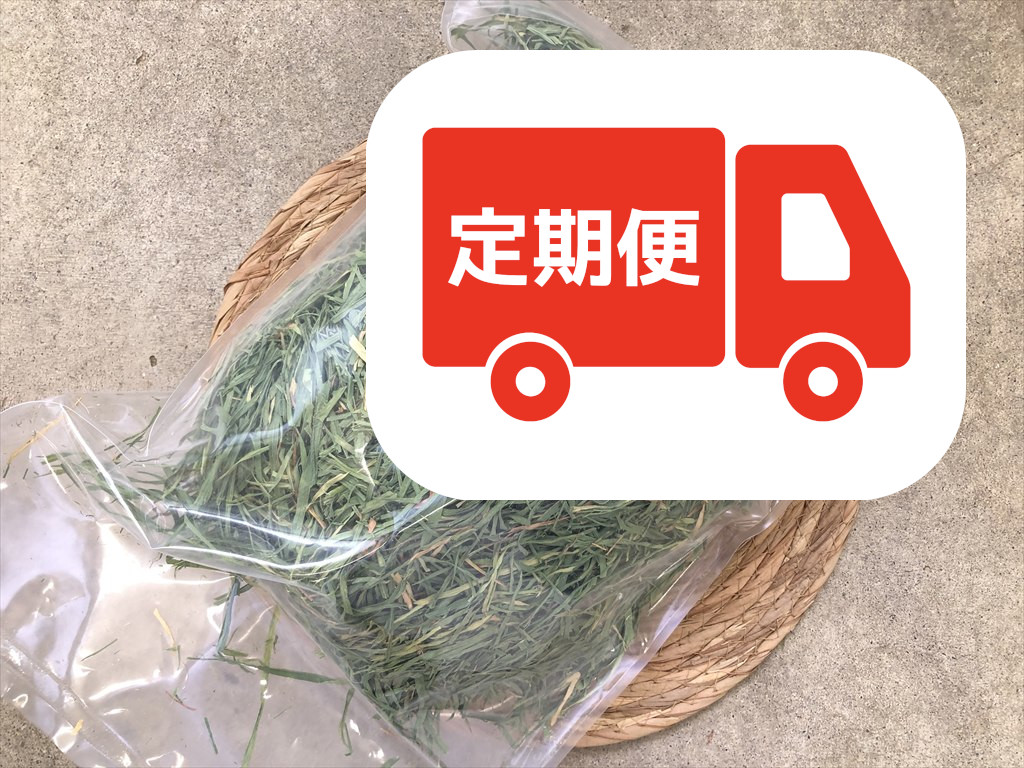 小麦の牧草 ウィートヘイ