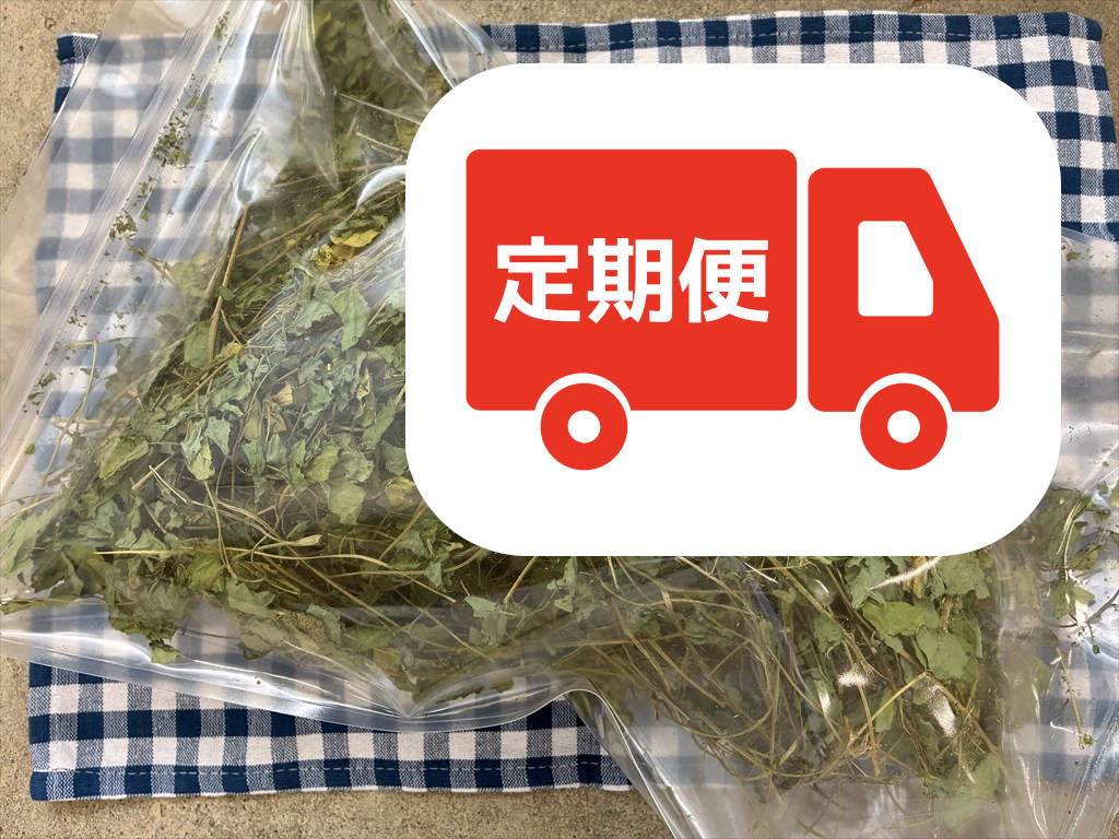 うさぎ用牧草エビスグサ100g