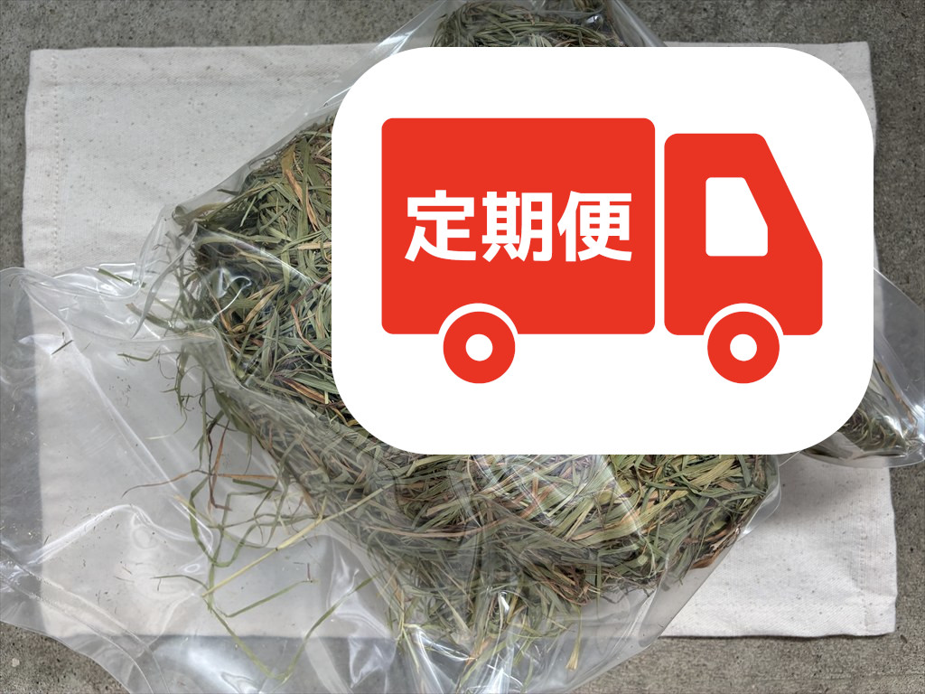 茶葉多いチモシー 牧草を食べないうさぎにも人気のチモシー