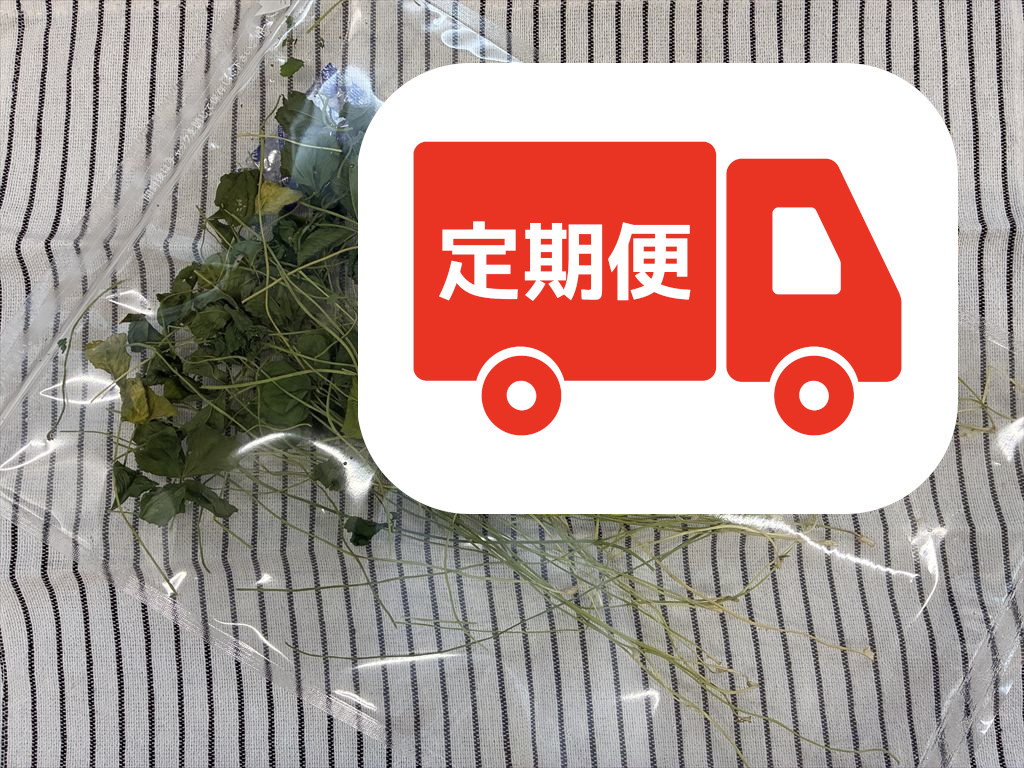 うさぎ用乾燥クローバー 国産うさぎおやつ