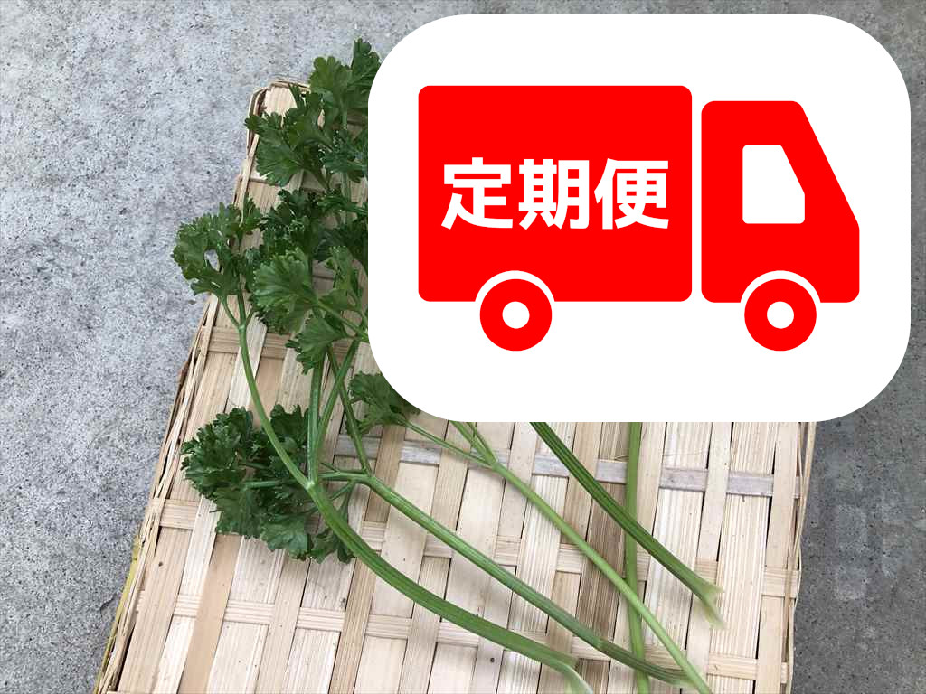 食欲アップ うさぎ パセリ