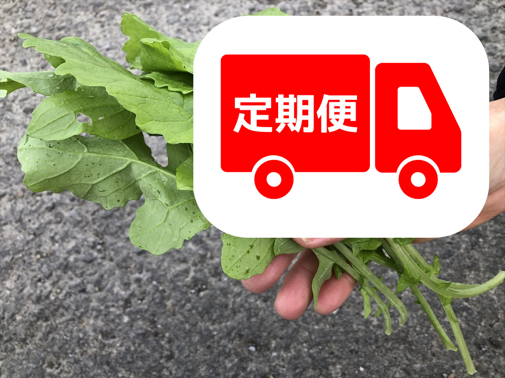 ベビー大根葉