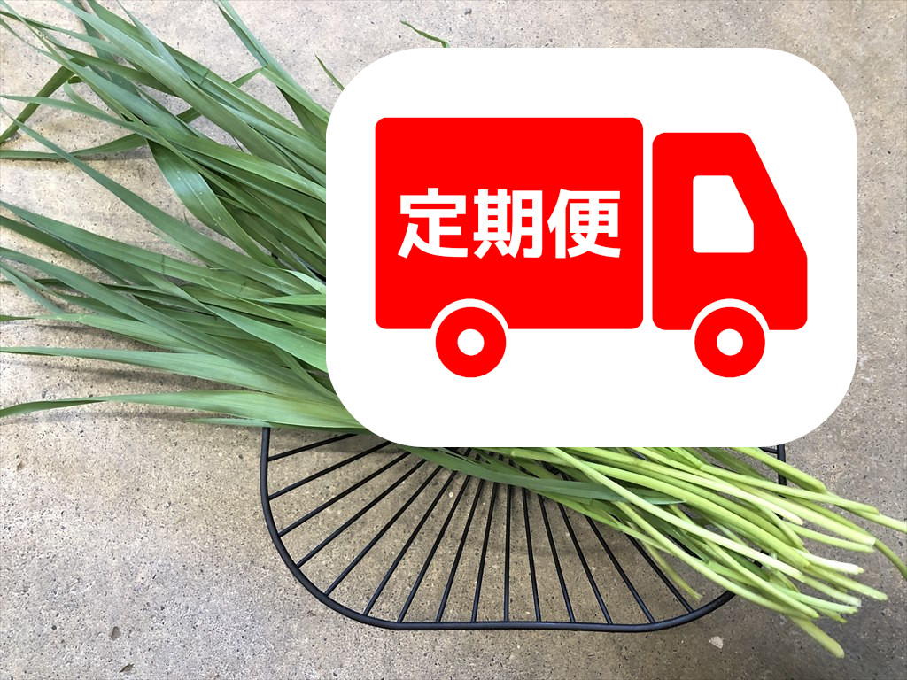 ベビー生オーツヘイ うさぎ用 生牧草