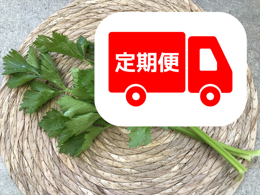 ミニセロリ うさぎ用 野菜