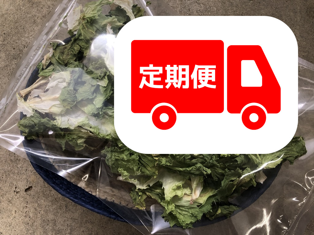 乾燥スカローラ