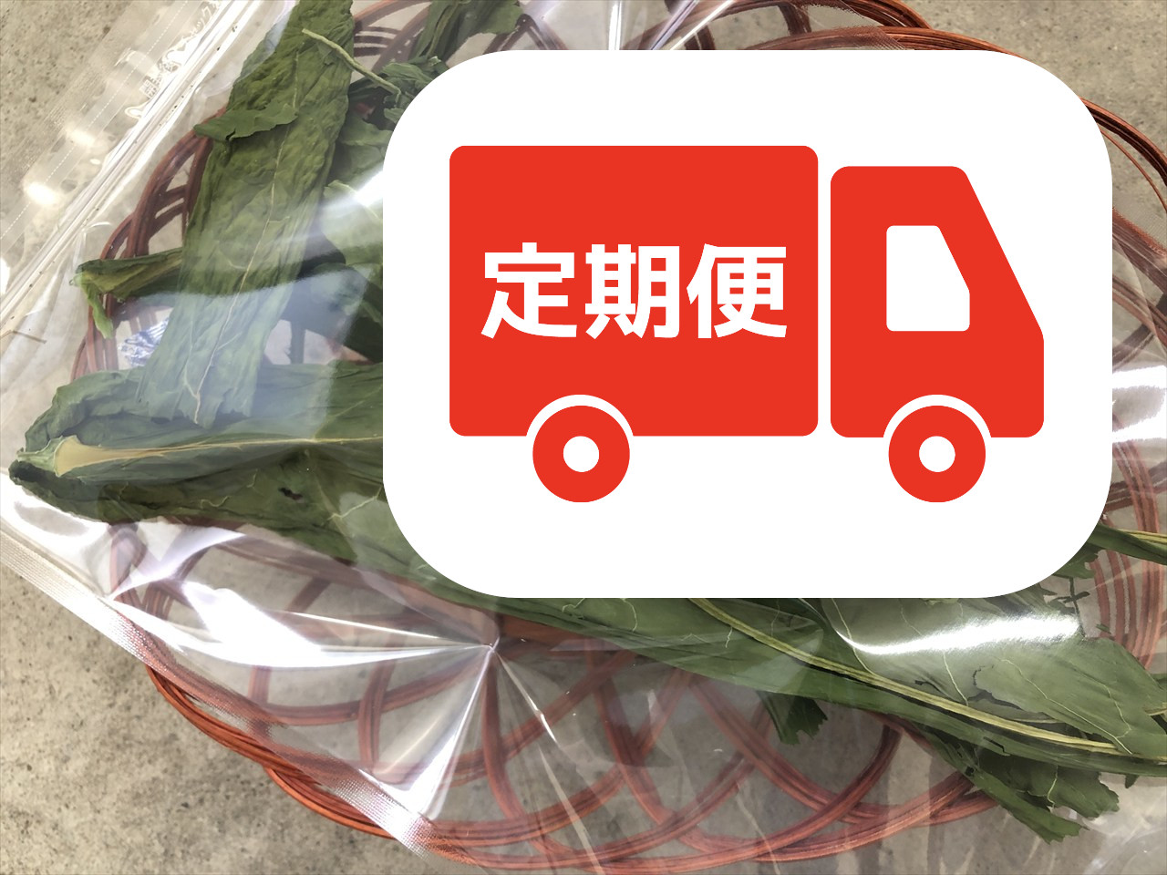 乾燥カーボロネロ