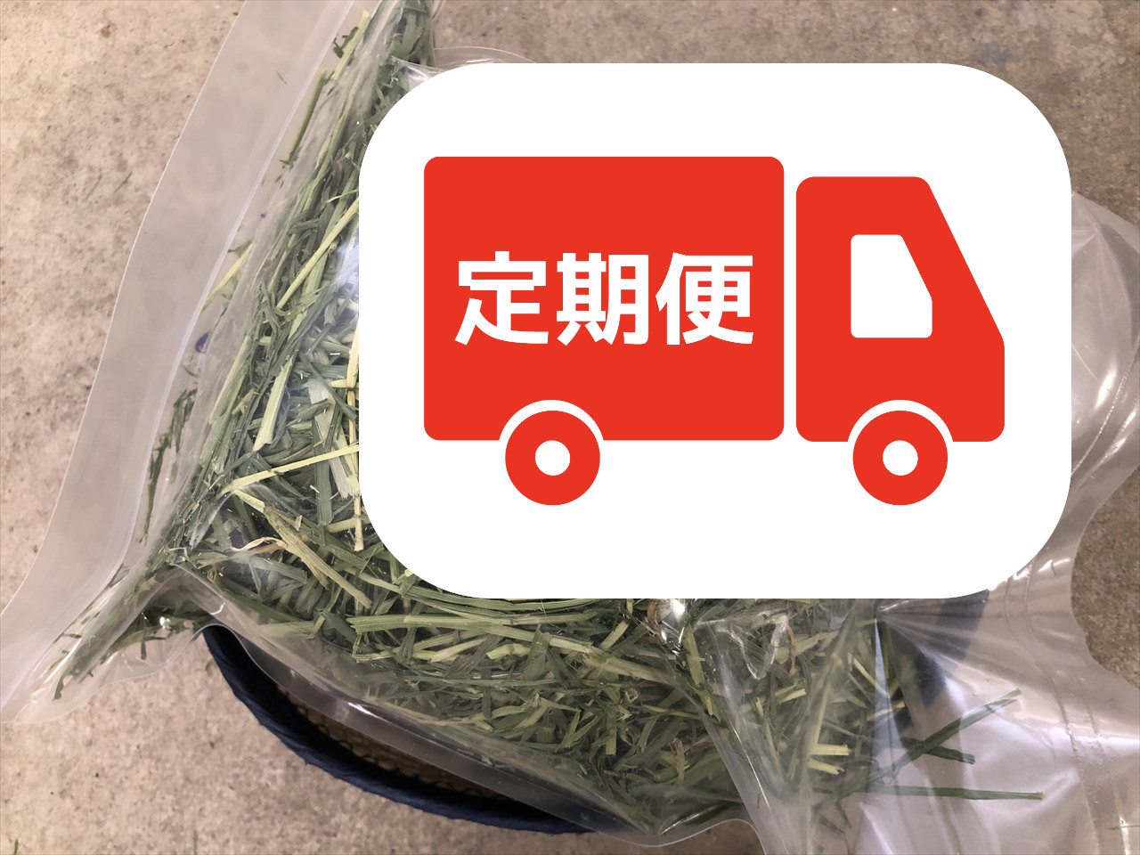 うさぎ用牧草ライムギ200g