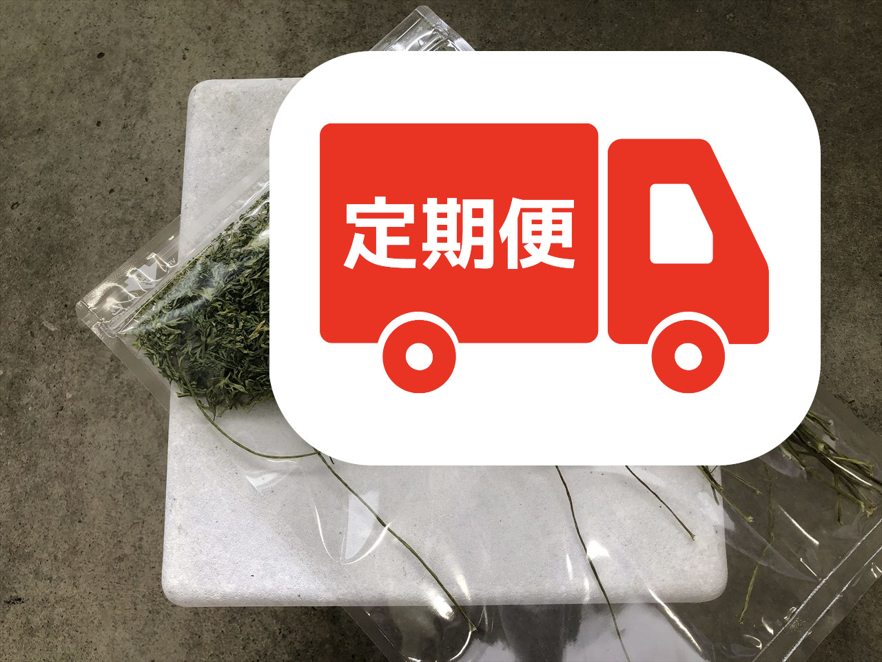 乾燥にんじん葉 うさぎ用 おやつ 食いつき抜群