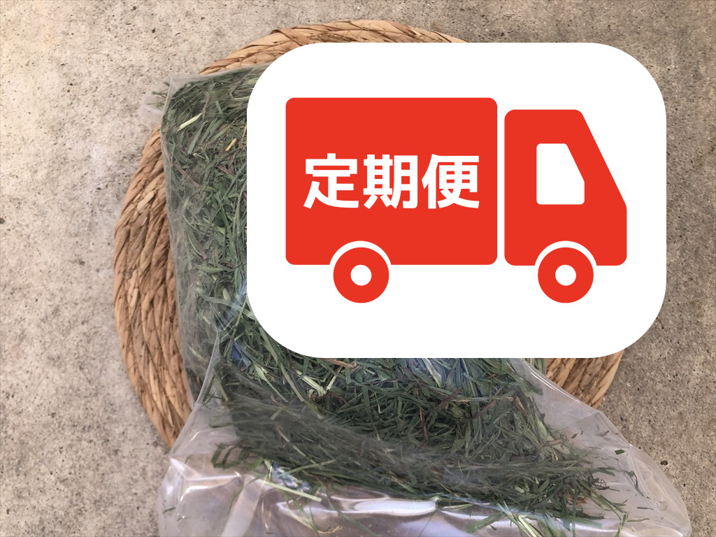 ワイルドチモシー うさぎがよく噛める硬めのチモシー