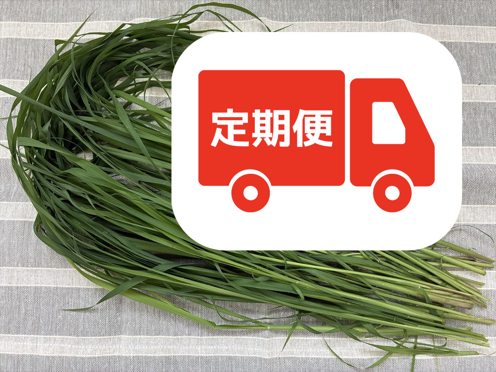 フレッシュ牧草 香りの良いローズグラス