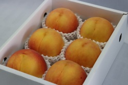 産直同等品　特大玉　月かがみ　小箱（約2ｋｇ）