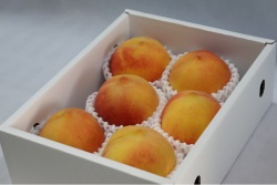 産直同等品　大玉　月かがみ　小箱（約2ｋｇ）